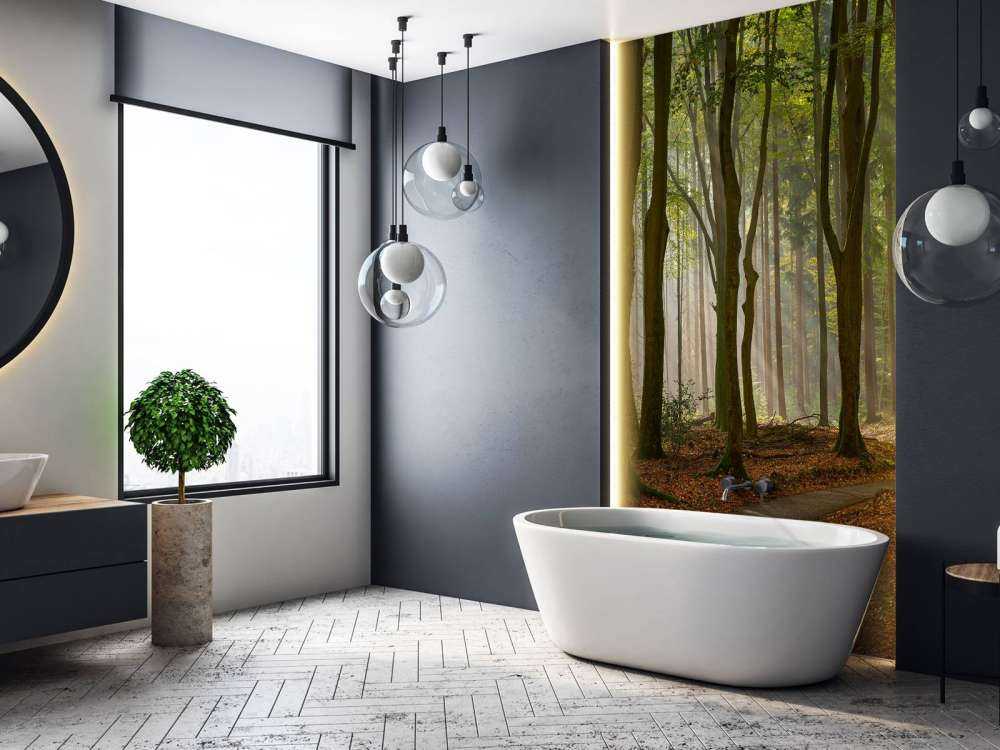 Sun rays at path through the forest