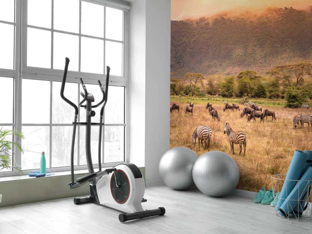 Savanna landscape with zebras