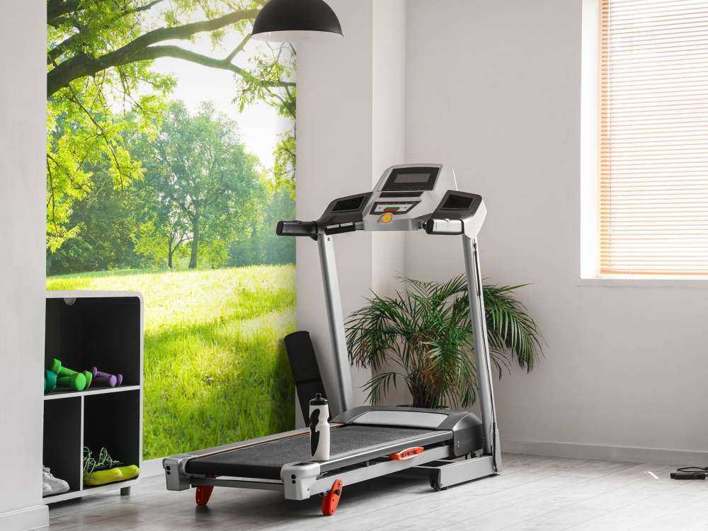 Beautiful tree with green grass