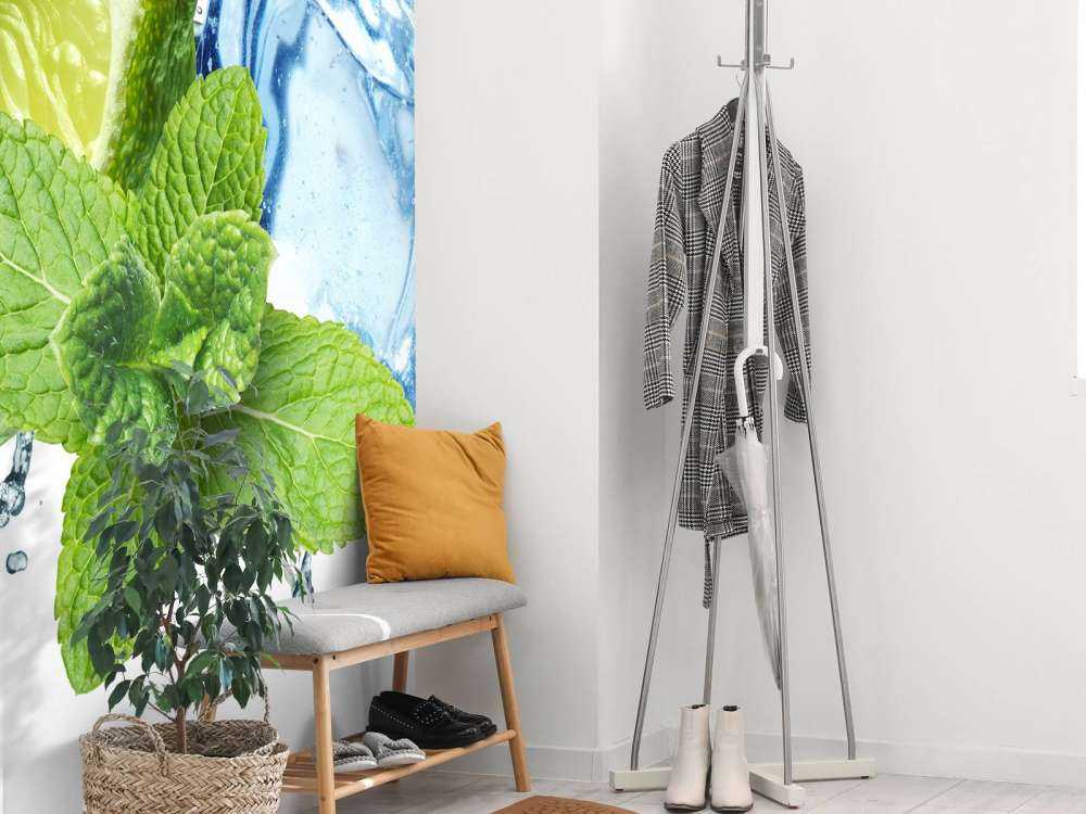 Splashing water with mint and lime