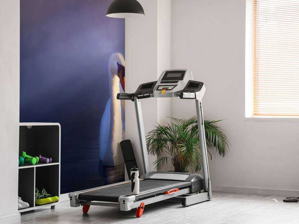 Love couple white swans