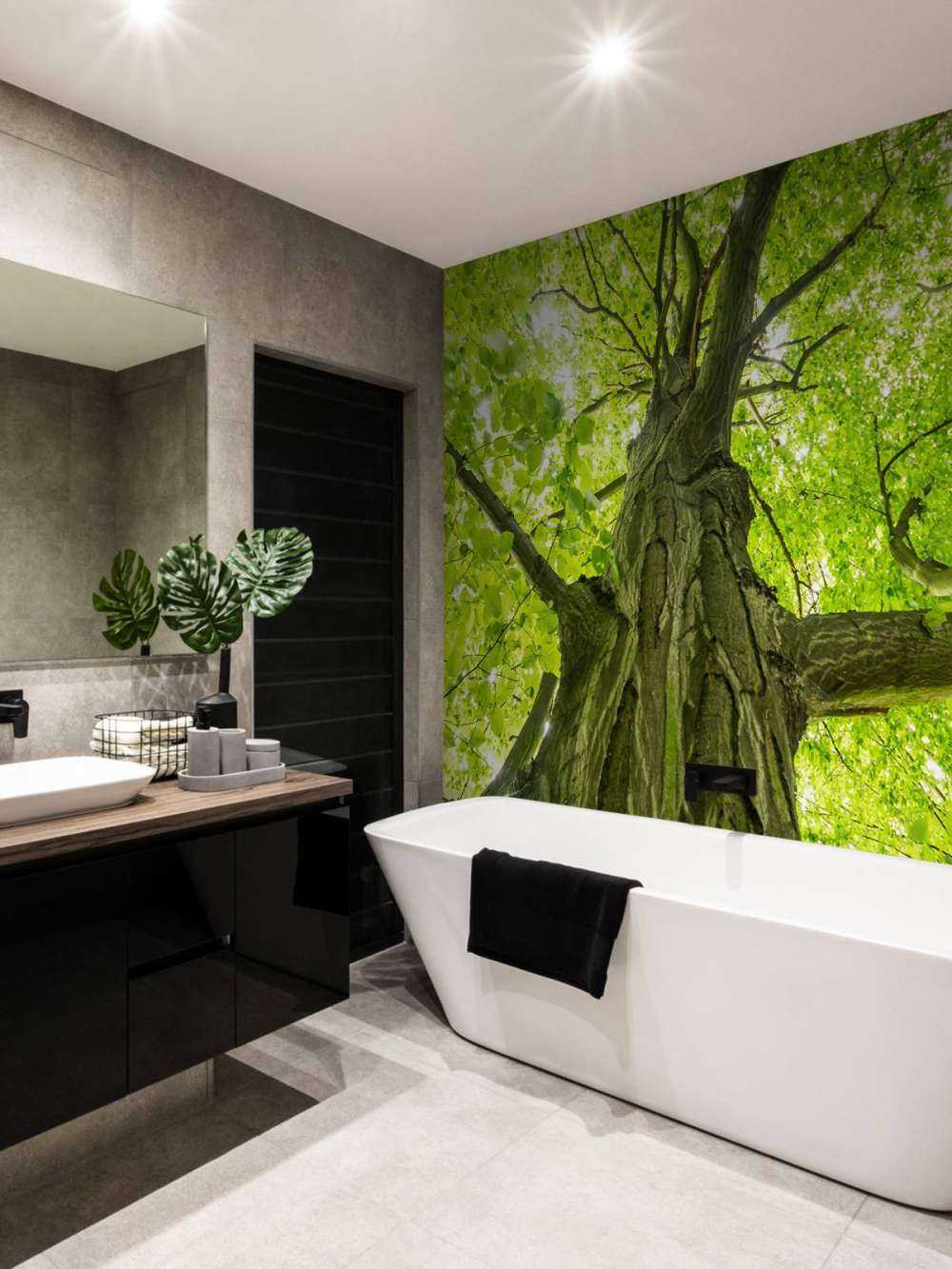 Large tree in the forest