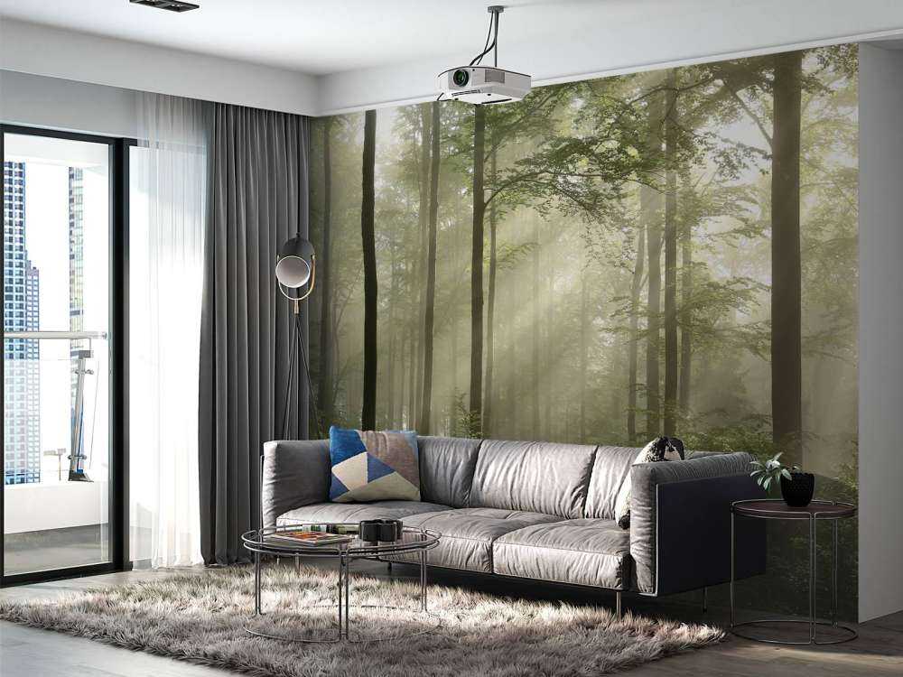 Green forest in the fog