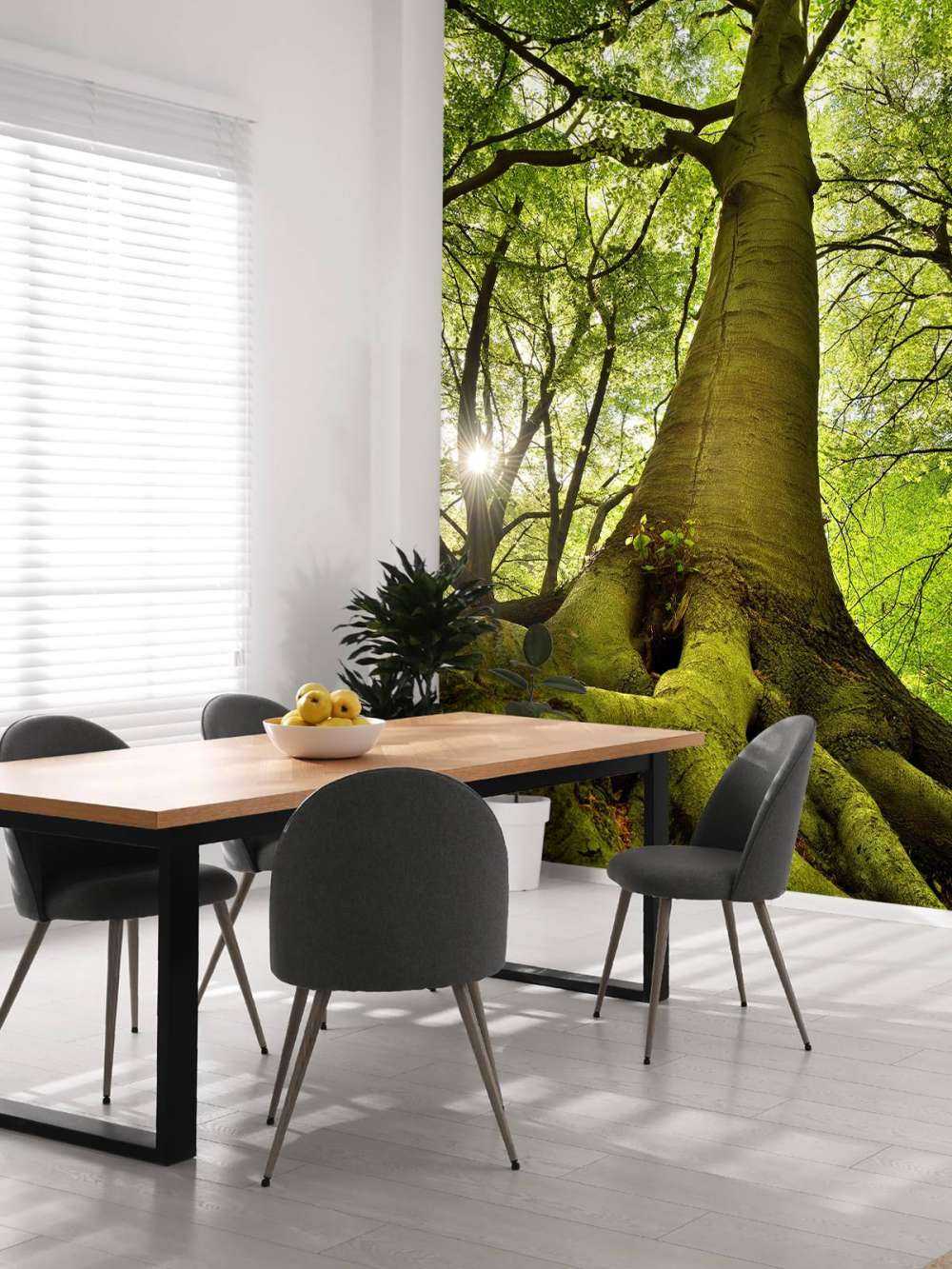 Large tree and roots