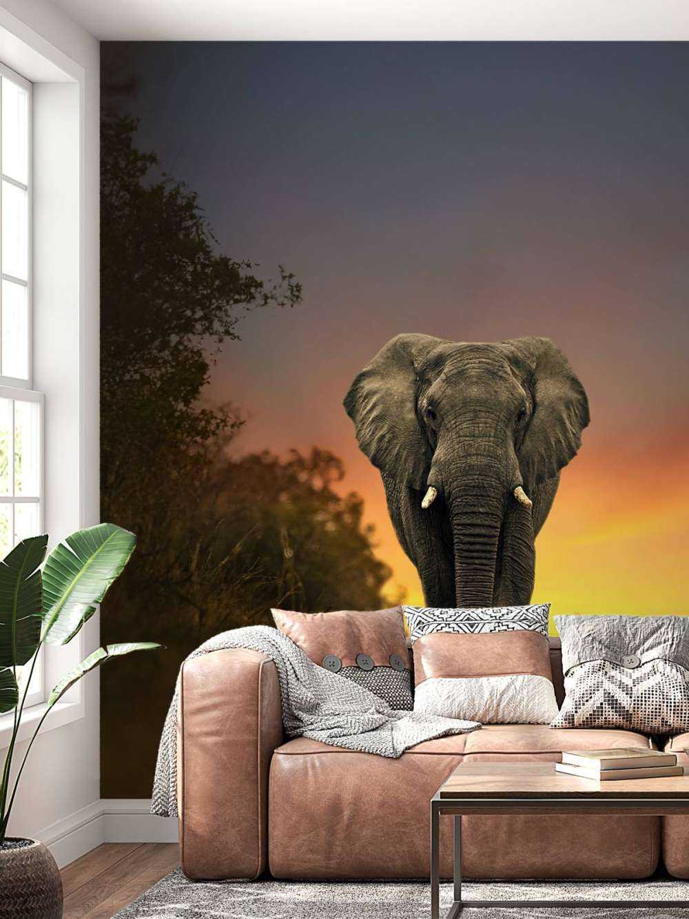 Elephant in the sunset