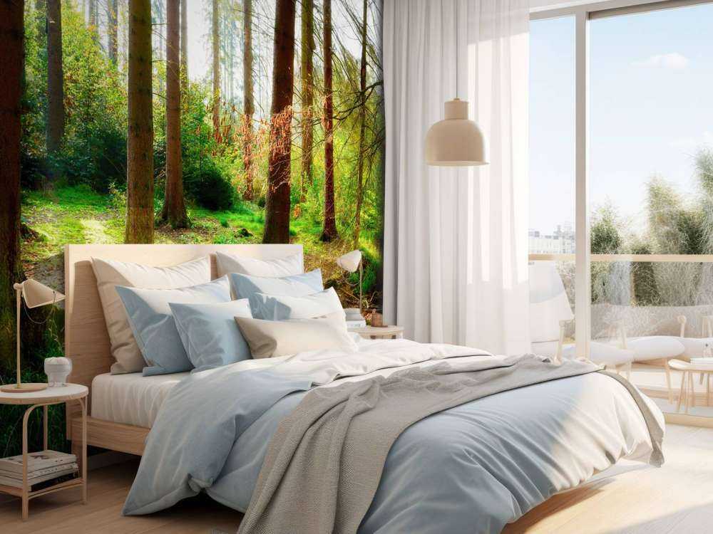 Autumn forest with bright sunlight