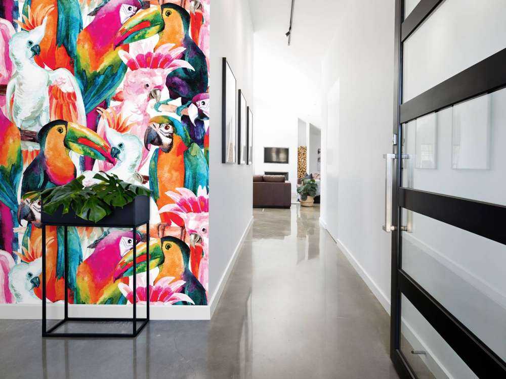 Tropical coloured birds