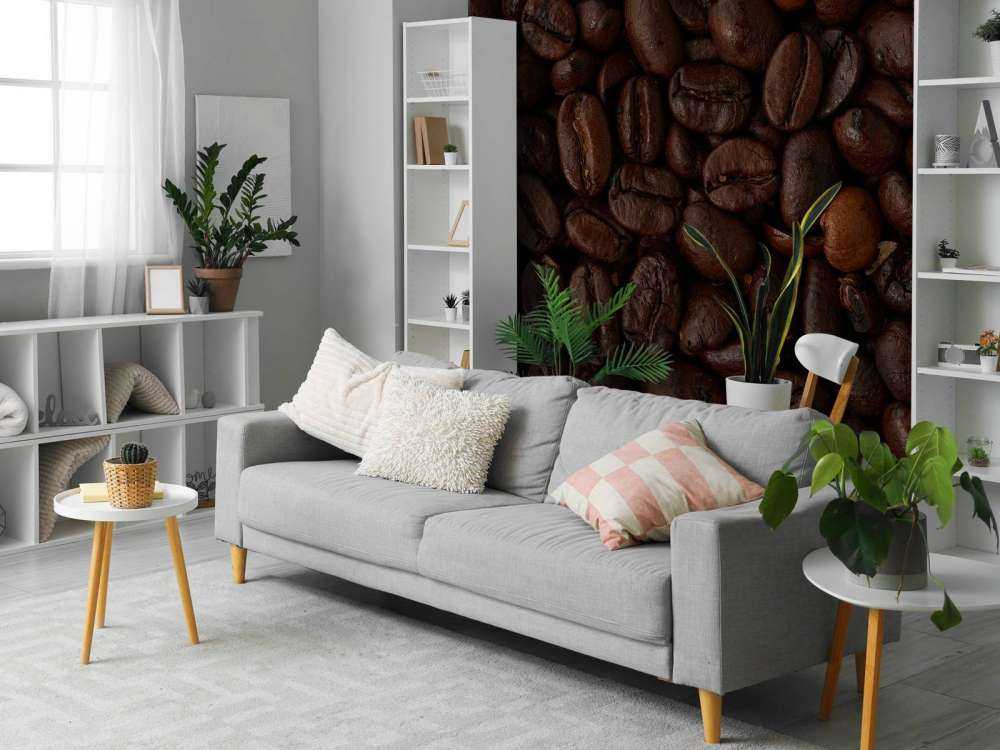 Coffee beans close up