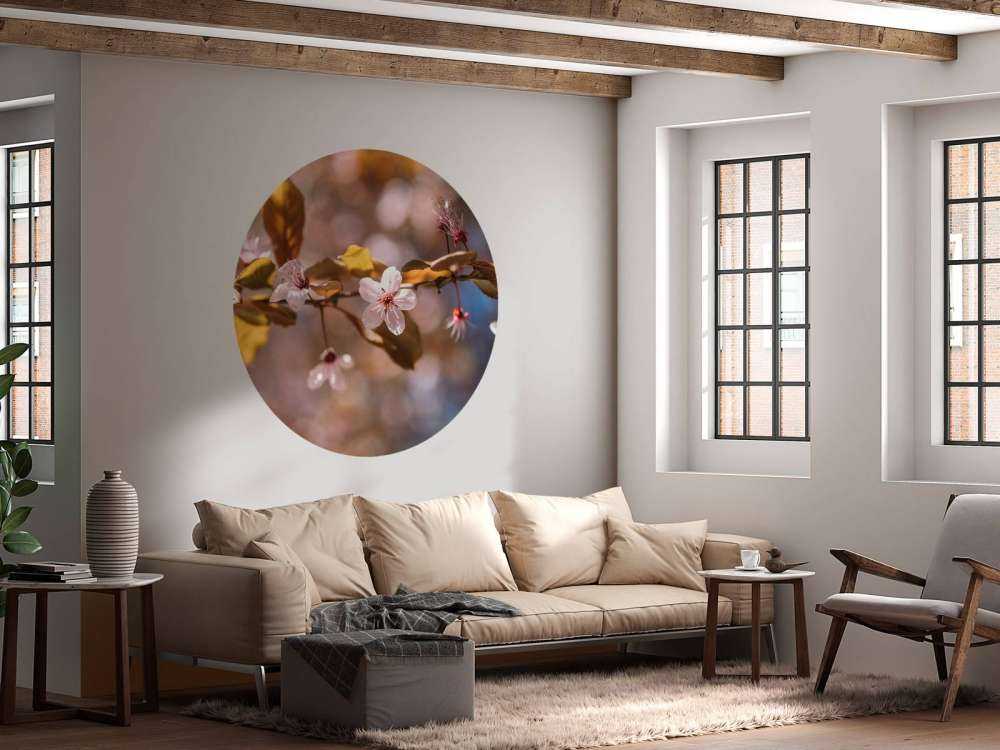 Pink blossoms and brown leaves