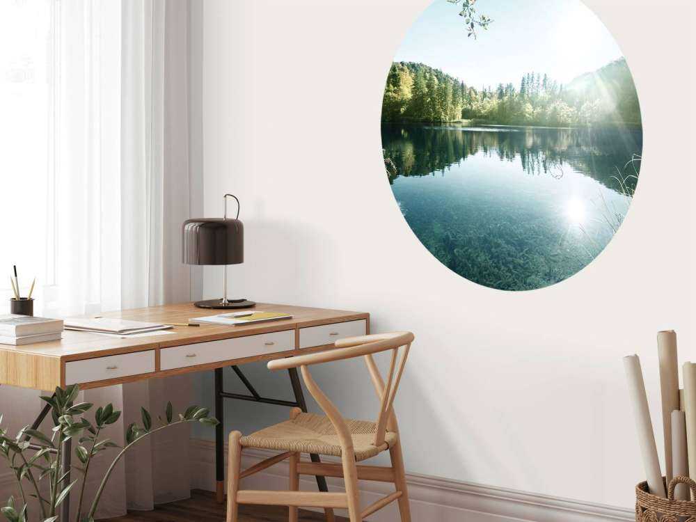 Lake in forest