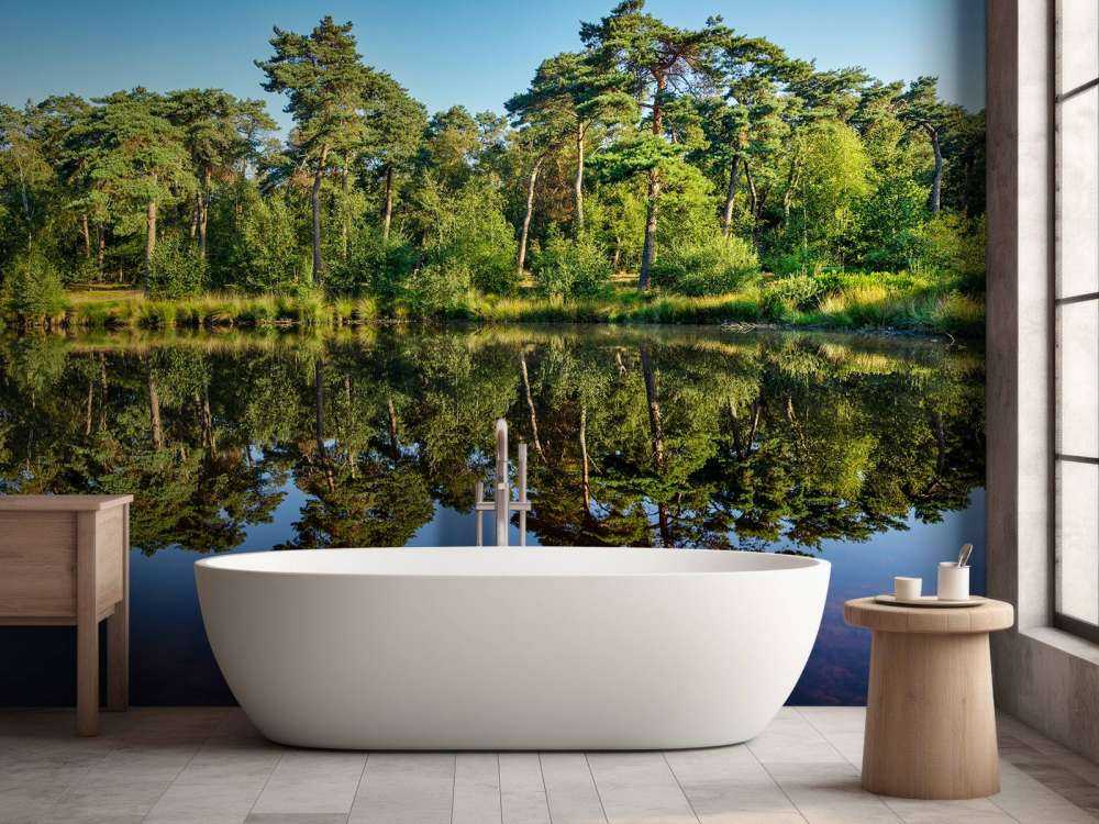 Reflection in bosves