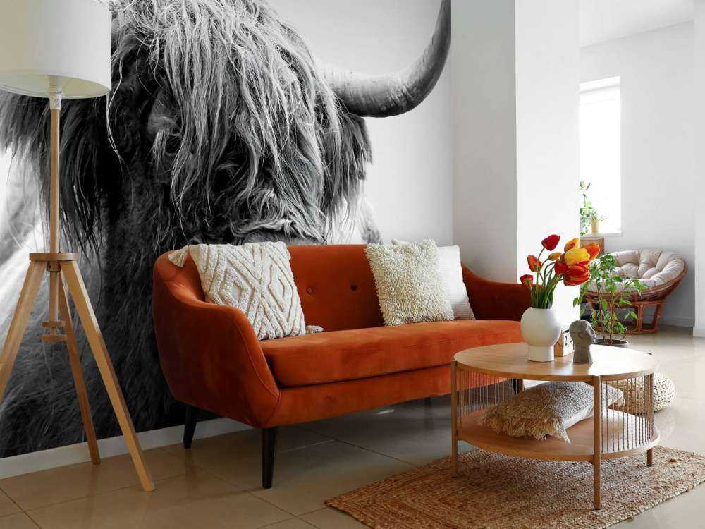 Funny Scottish Highlander