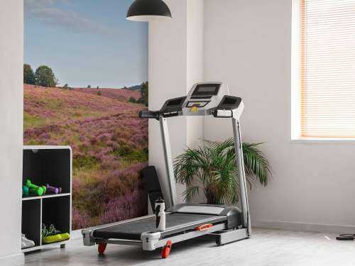 Flowering heather