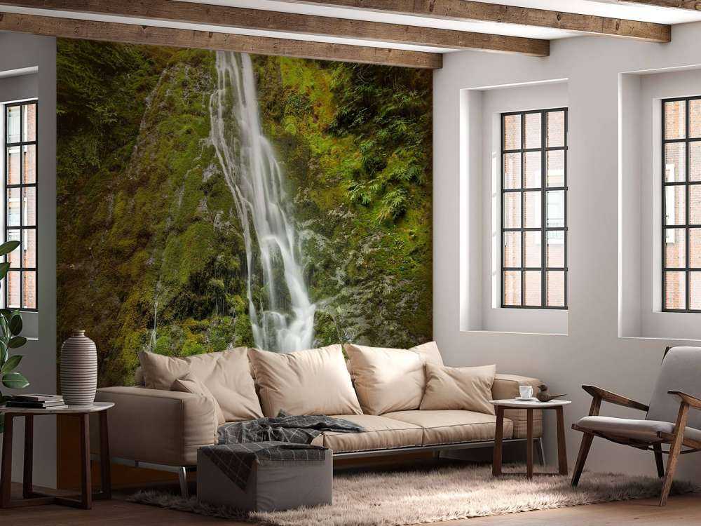 Waterfall with beautiful greenery