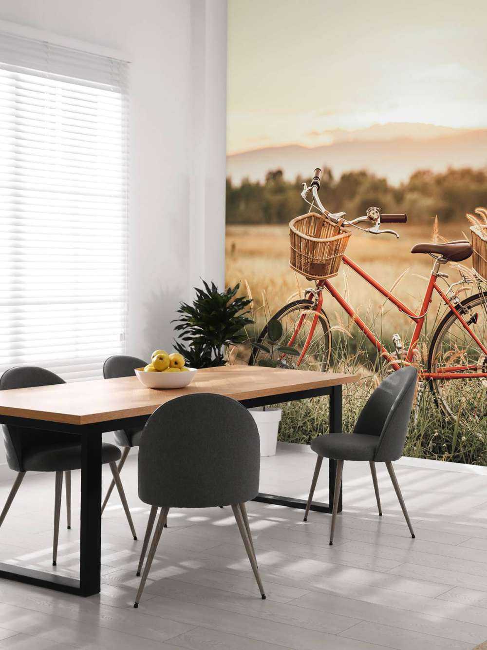 Vintage bike in summer