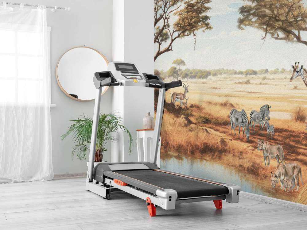 Safari landscape in color