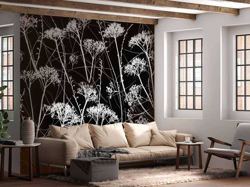 Silhouette of dried plants