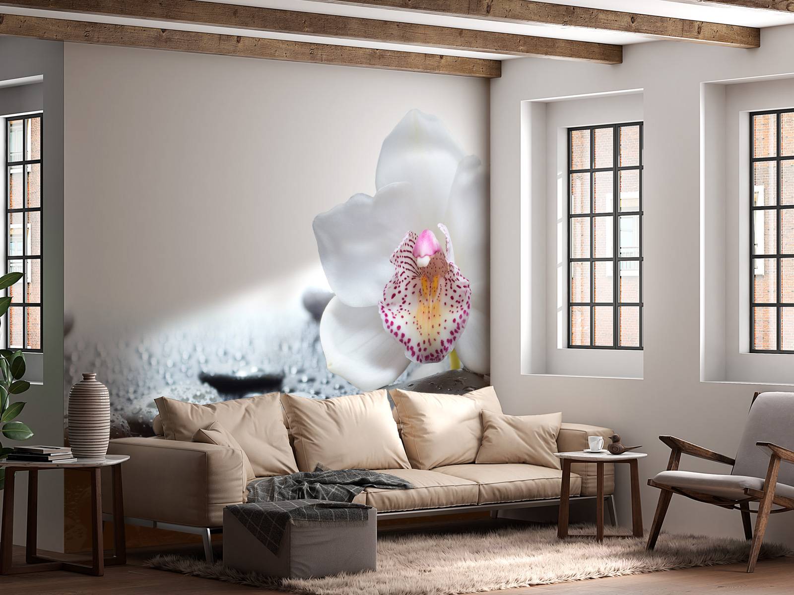White orchid