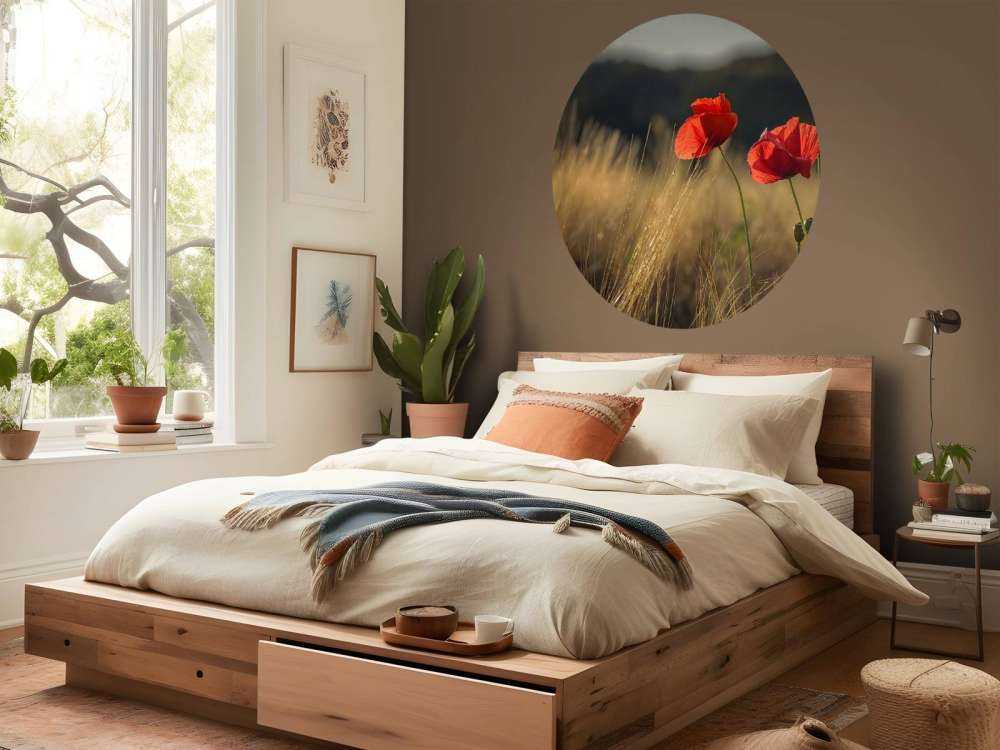 Poppies in a wheat field