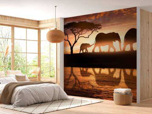 Elephants in savannah