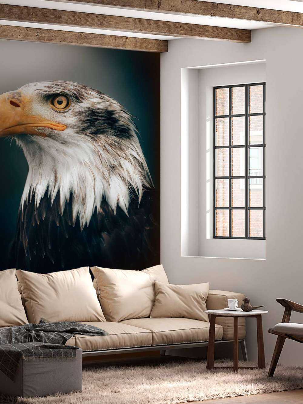 Close-up sea eagle