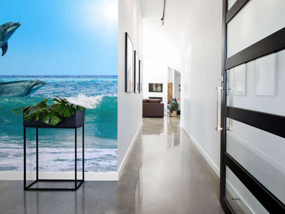 Dolphins at the coast