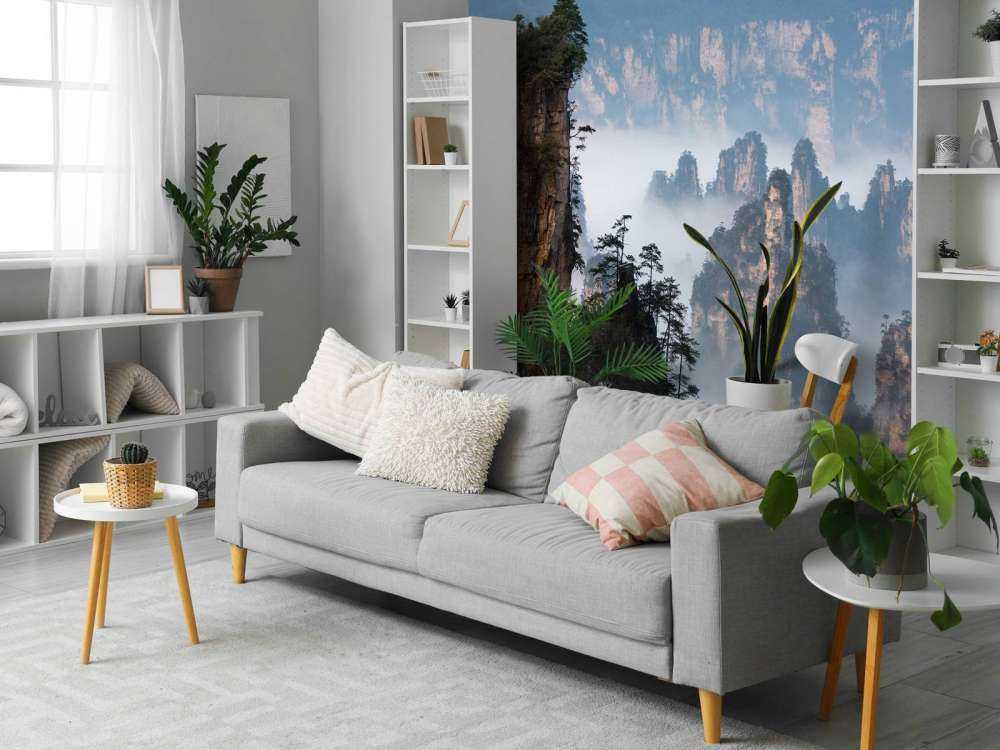 The general ordered the troops