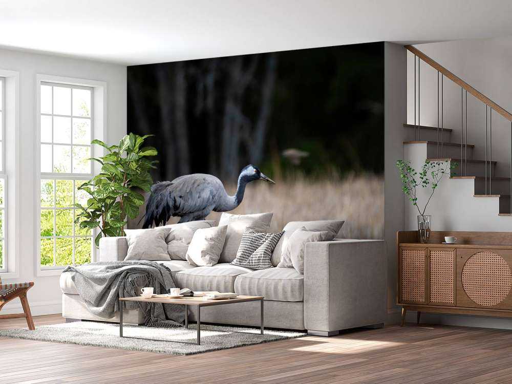 Lopende kraanvogel
