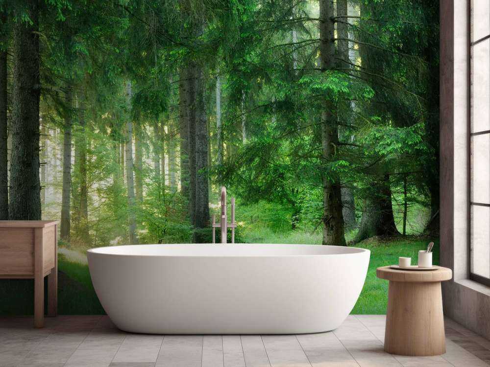 Green conifers forest