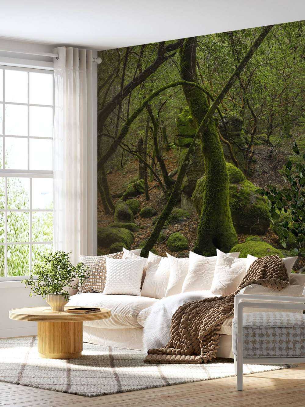 Trees and moss stones