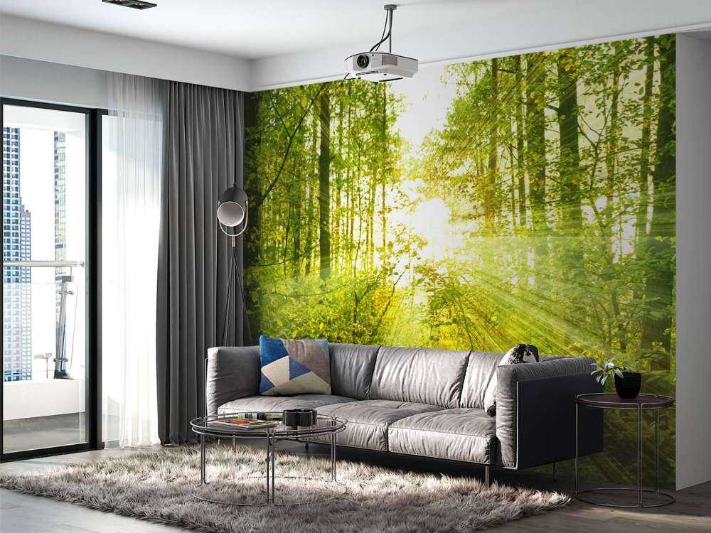 Sunshine in a green forest