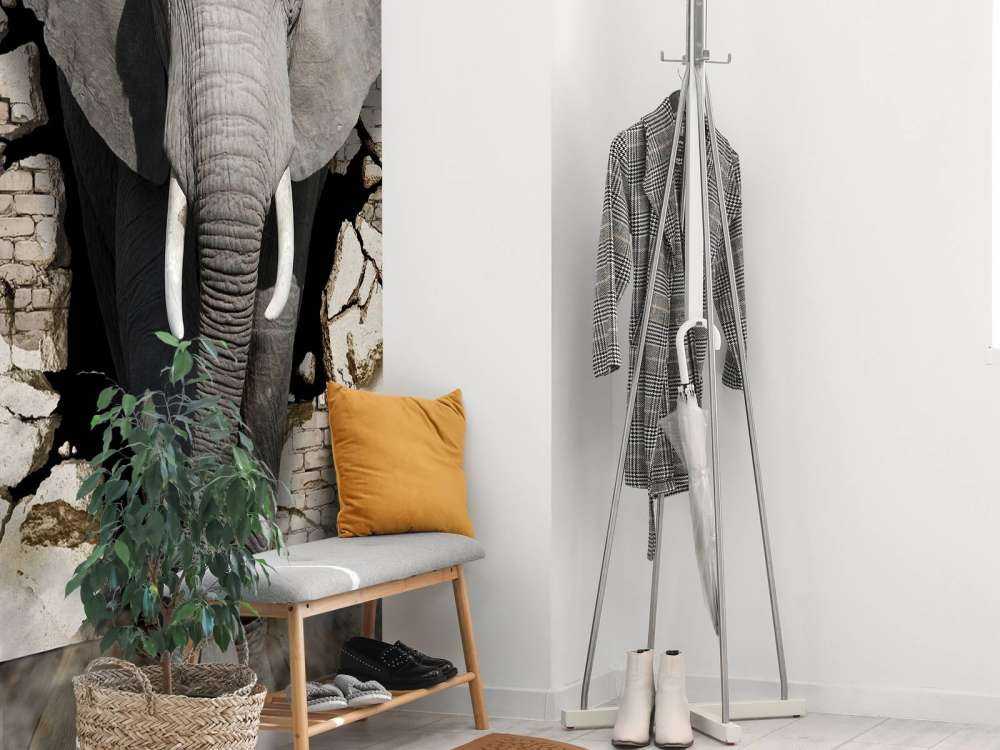 3D Elephant from the wall