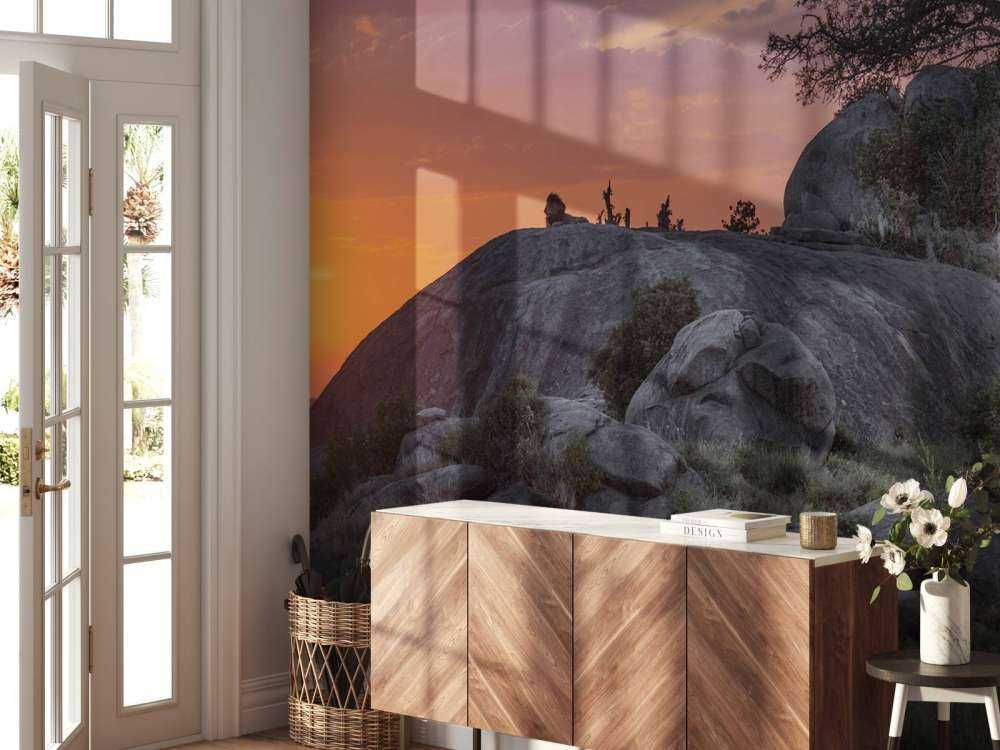 Sunset over the savannah