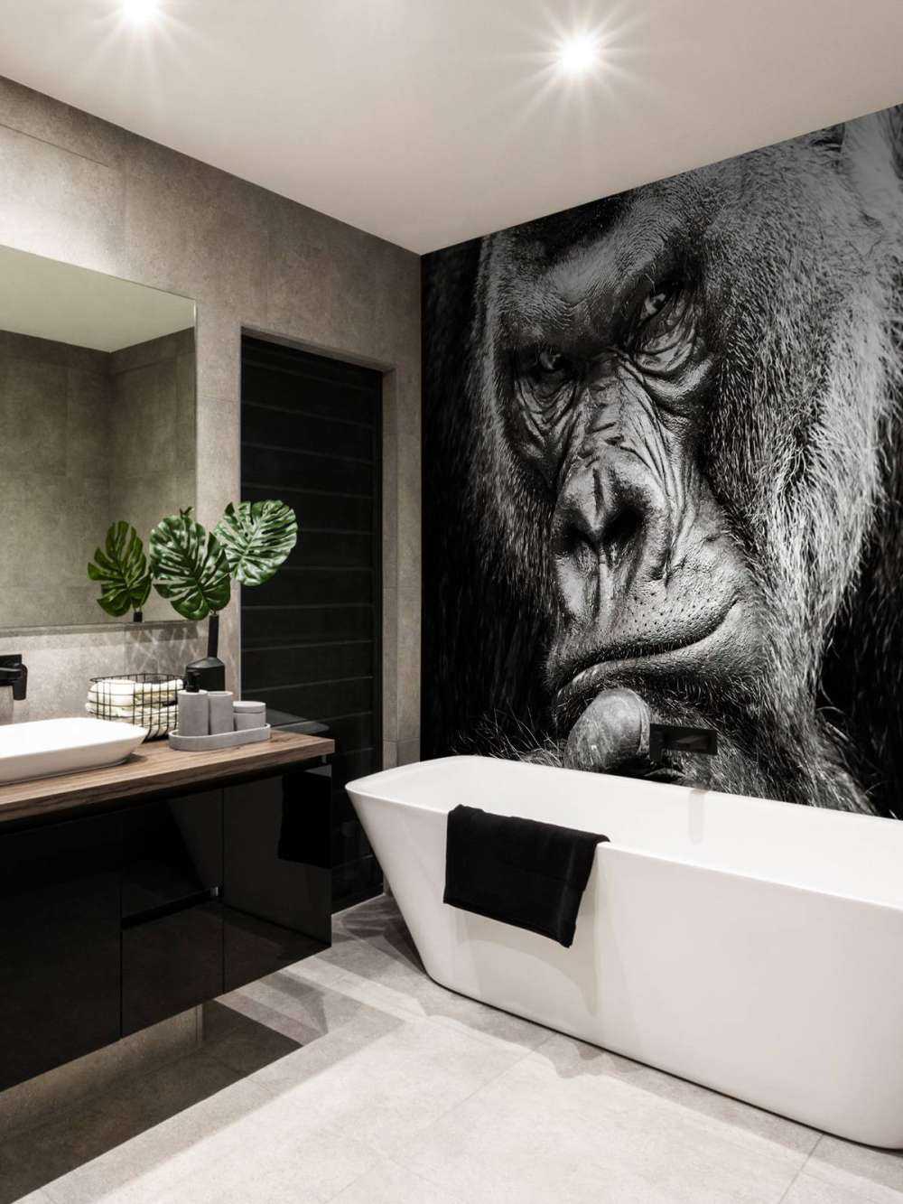 Close-up picture of a gorilla