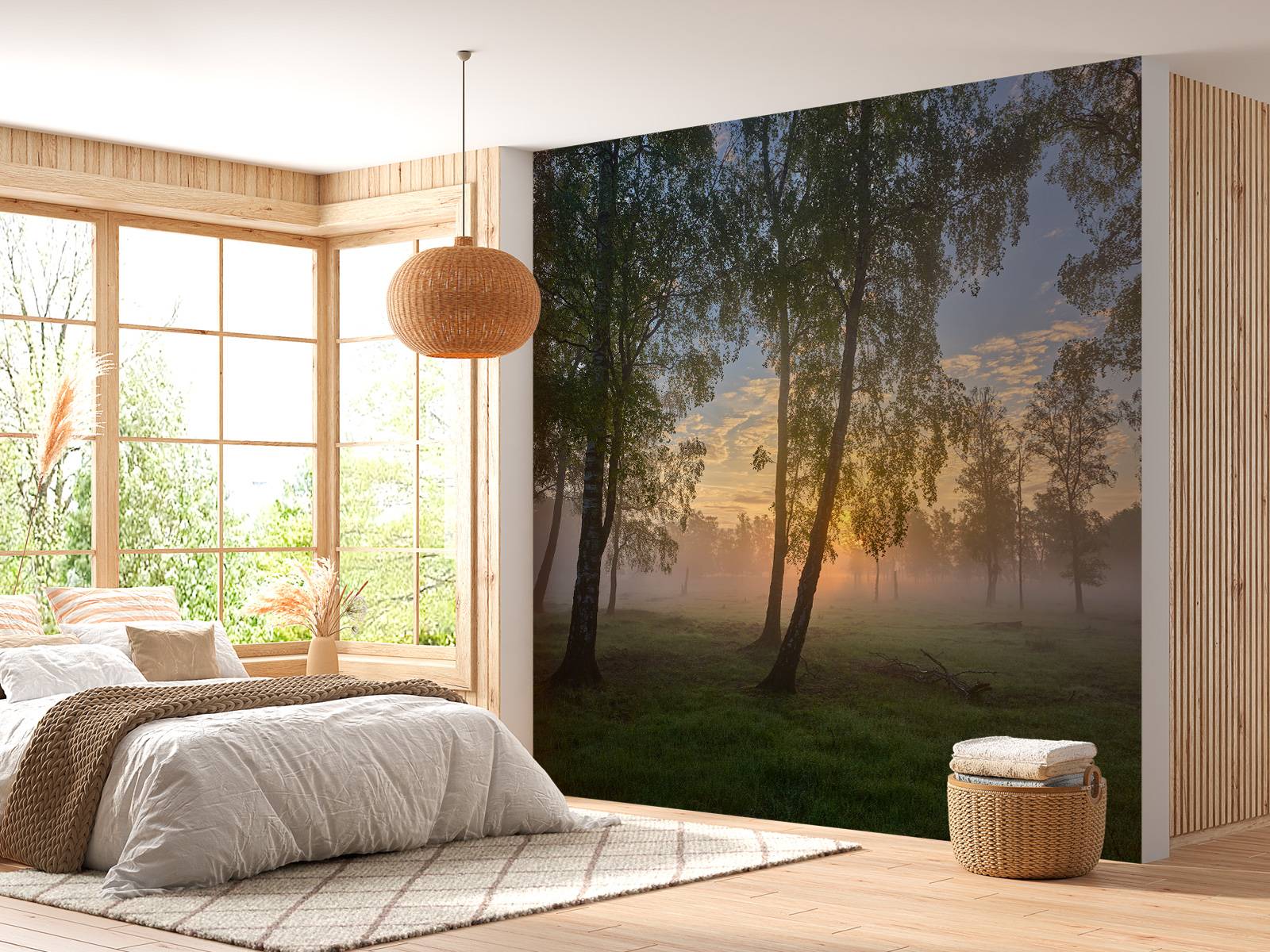 Sunrise by the birches