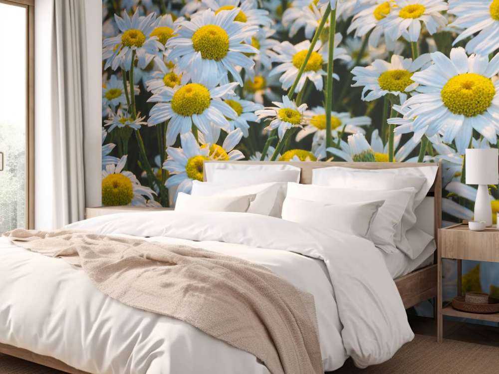 Vintage Daisies