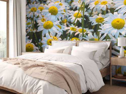 Vintage Daisies