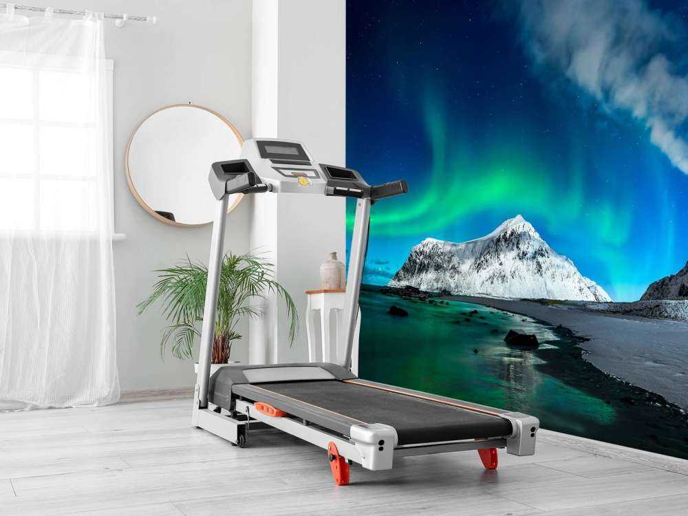 Northern lights above mountains