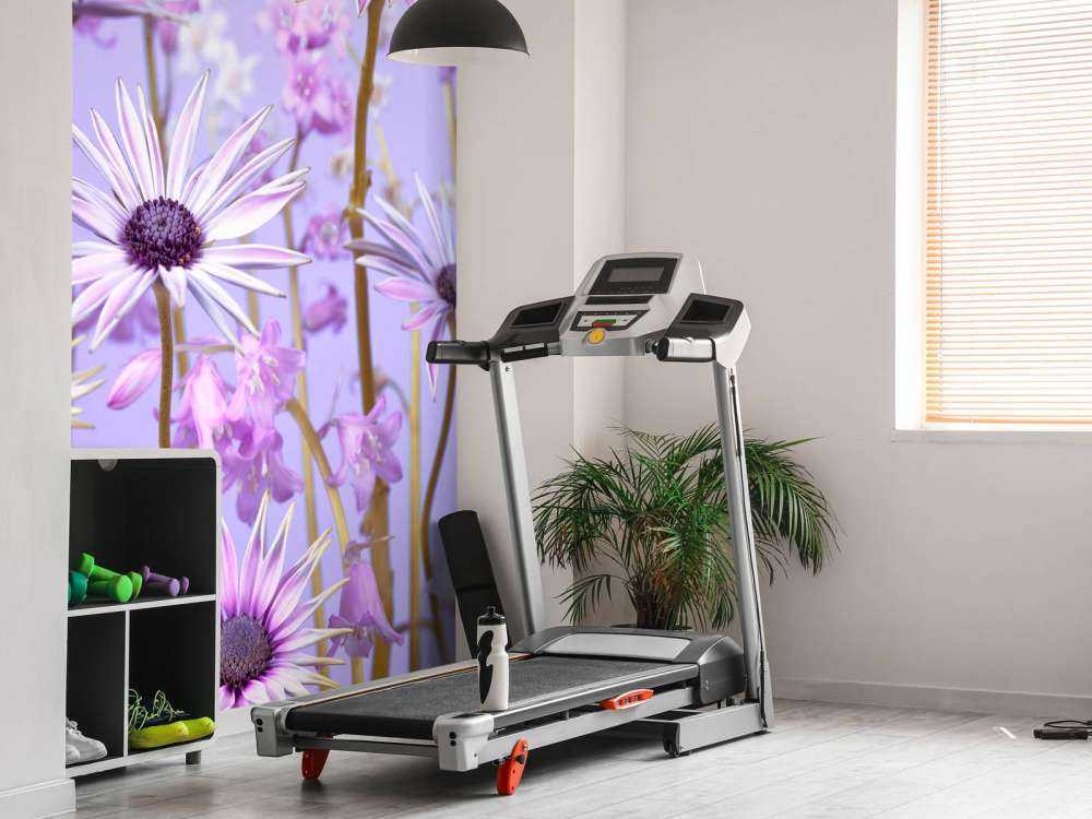 Colourful purple flowers