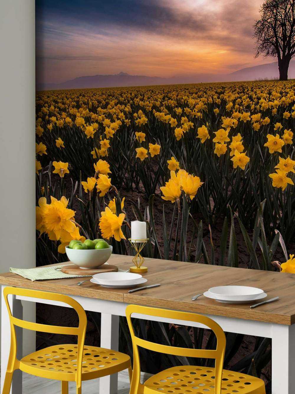 Field with daffodils