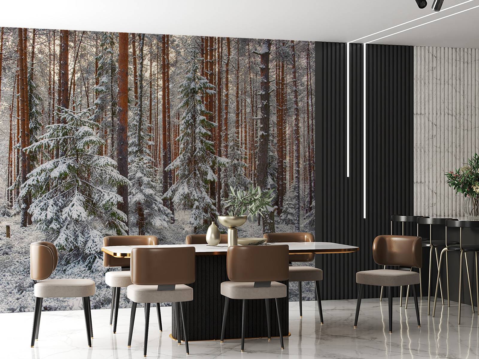 Forest in snow