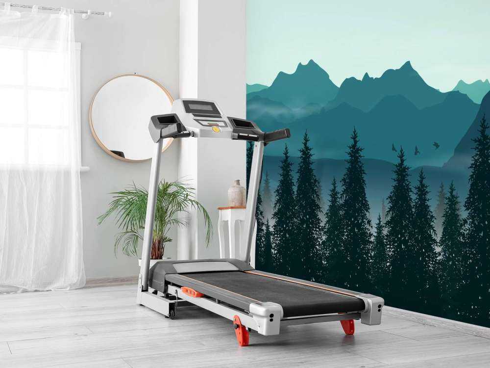 Illustration of forest