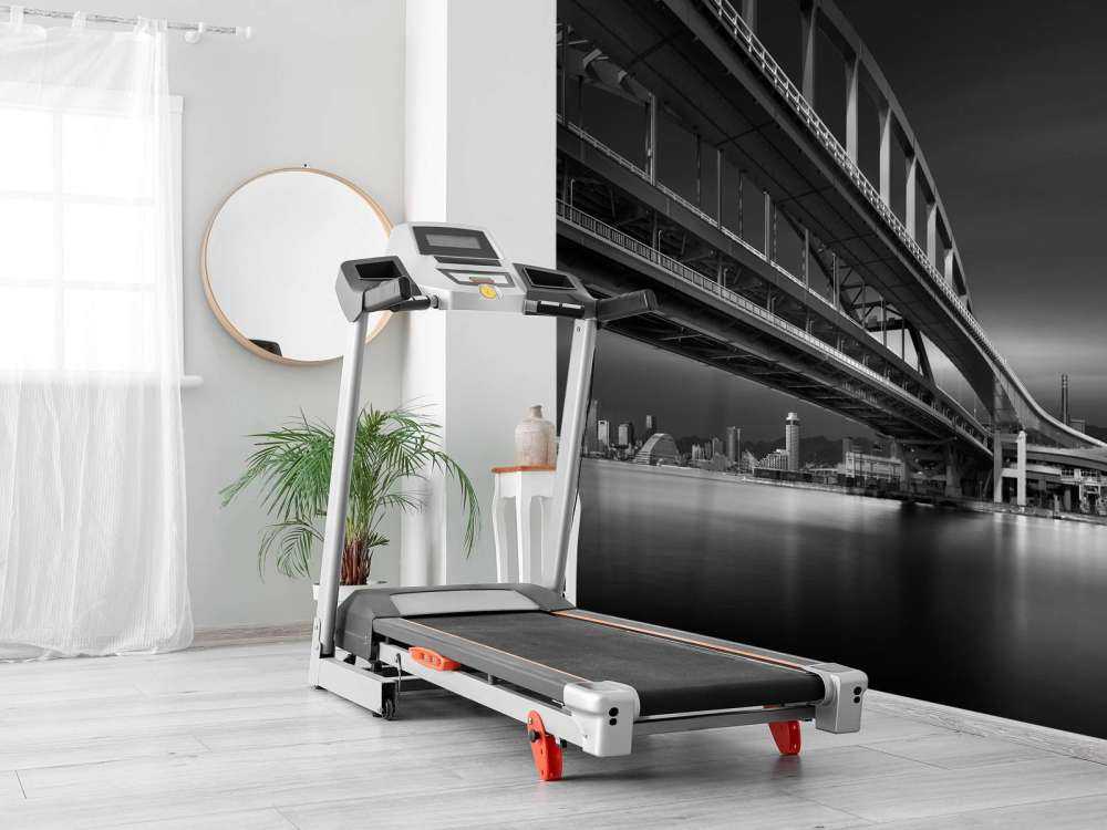 The Land of Coonectons 1: Over the Rainbow