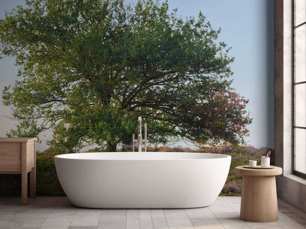 Lonely tree on the heath