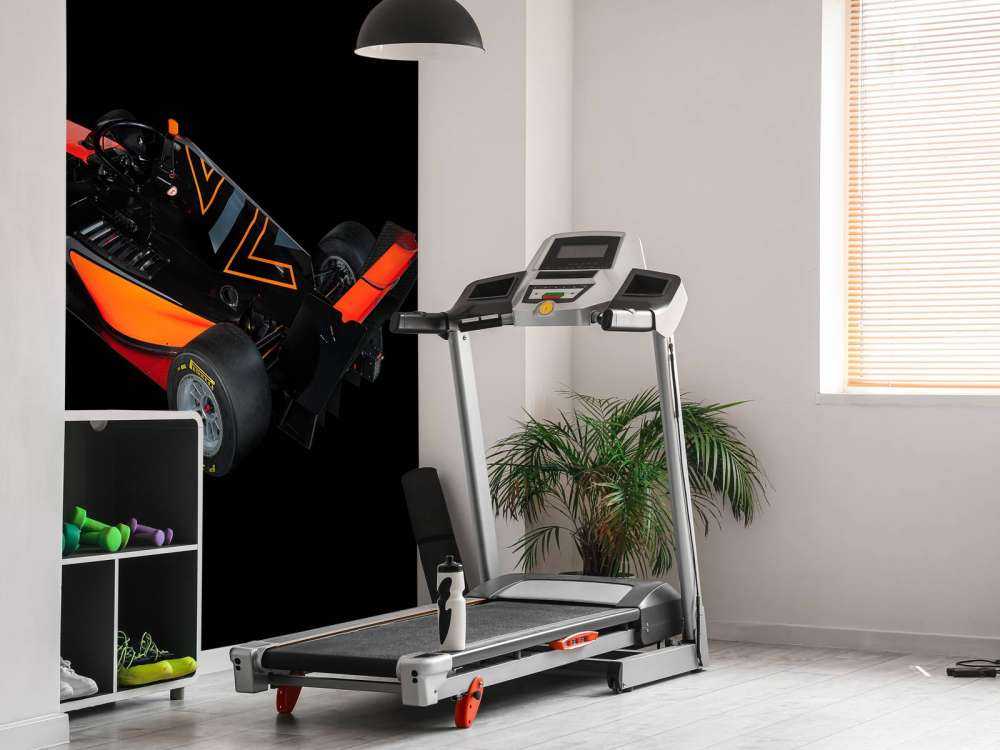 Formula 3 - Rear left view - dark