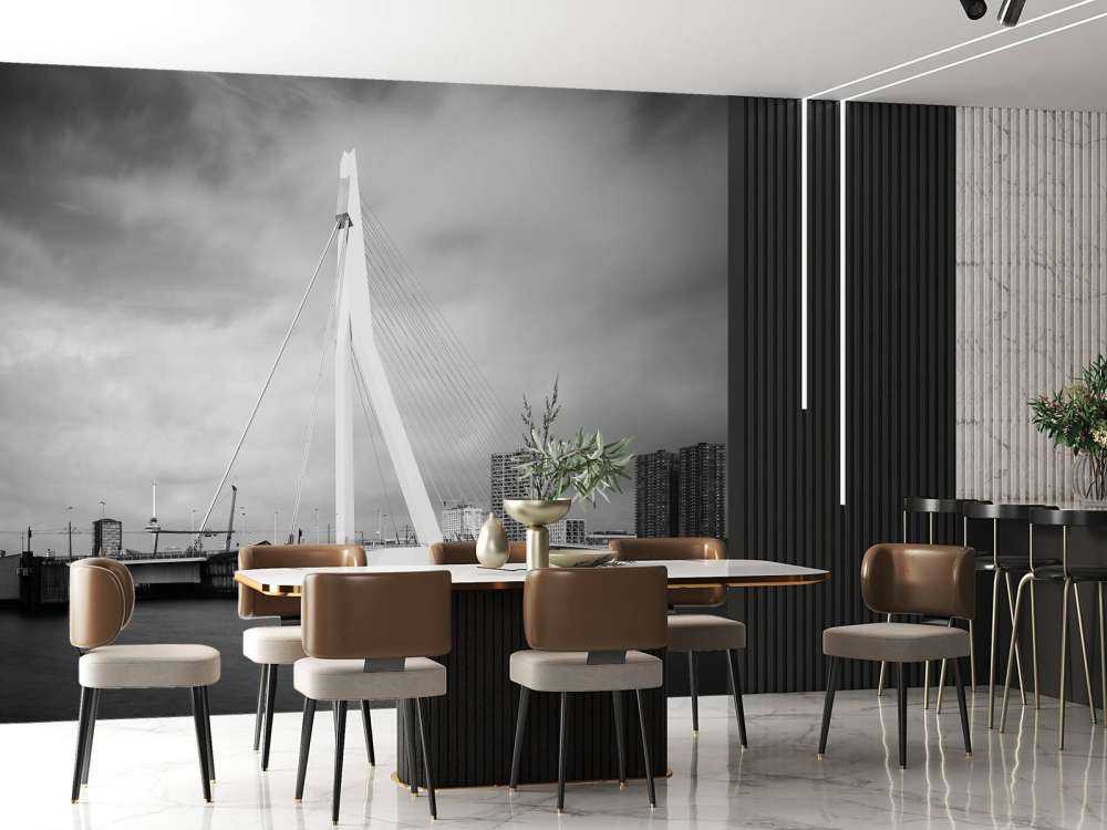 Erasmus Bridge Rotterdam 