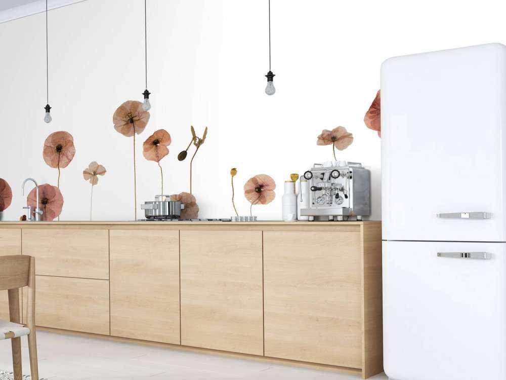 Poppy flower field colourful