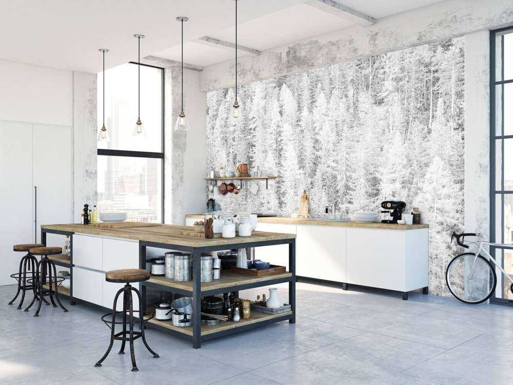 Conifers in black and white