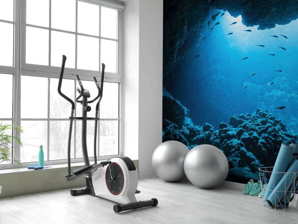 Underwater cave with fish