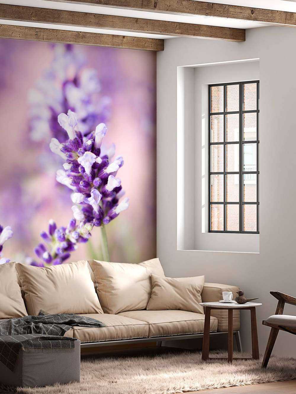 Lavender flower